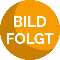 Anpassung AID (active info display / Tacho) R-Modell...