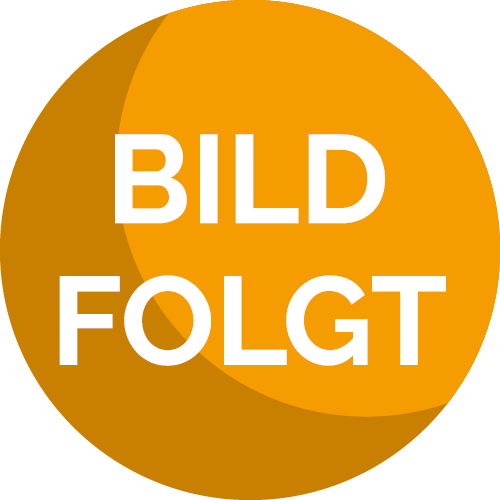 Codierung Virtual Cockpit Startlogo auf "S" mit VCDS